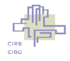 CIRB-CIBG